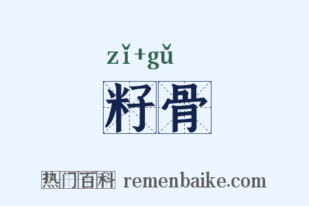 籽骨是什么意思的图片